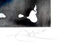 Détail de la signature de Miro pour Archipel sauvage.